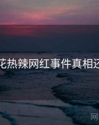 探花热辣网红事件真相还原