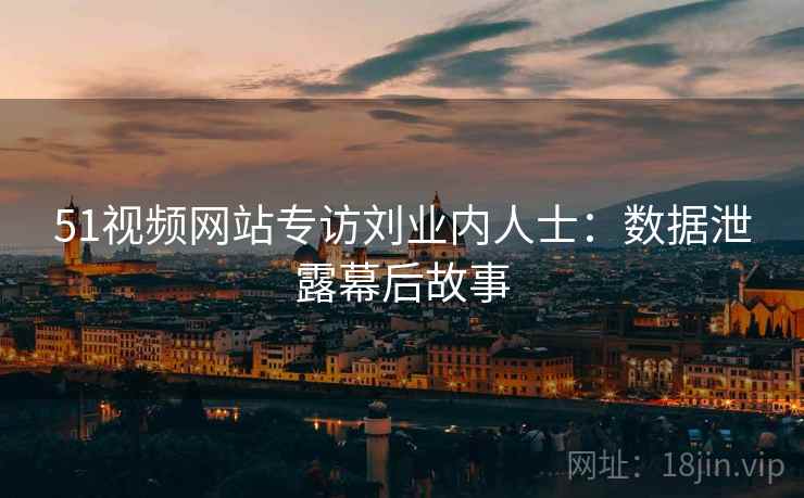 51视频网站专访刘业内人士:数据泄露幕后故事 51视频网站专访刘业内人士:数据泄露幕后故事
